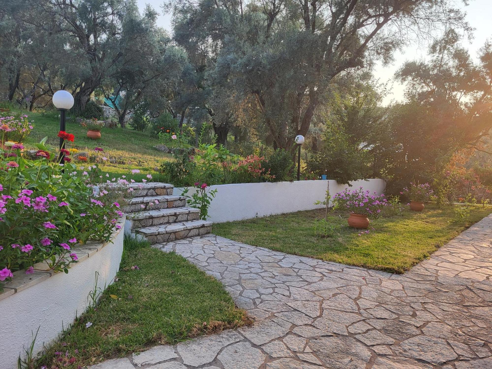 Dimitra Studios Lefkada City Exterior foto